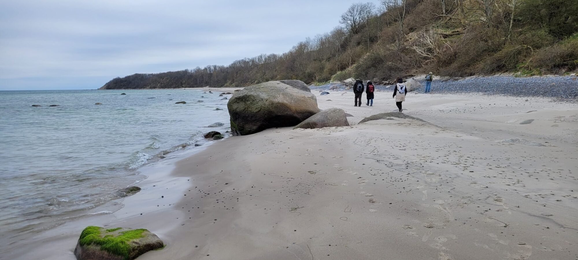 Weite Landschaft auf West-Rügen nahe Hiddensee